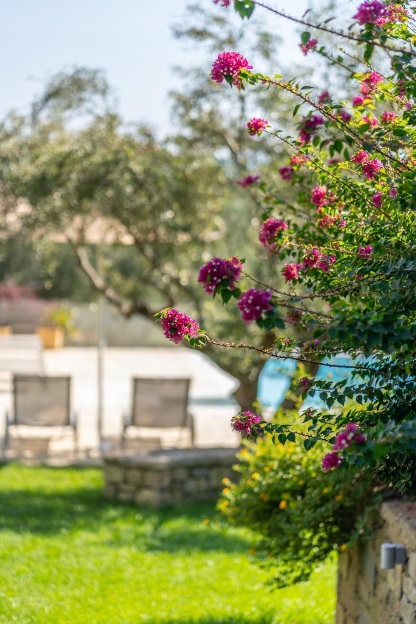 Abelia Luxurious Villas Finikounta Eksteriør bilde
